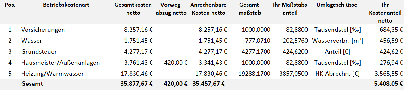 Tabellenausschnitt einer Betriebskostenabrechnung mit Gesamtkosten, Vorwegabzug, Umlageschlüsseln und Kostenanteilen