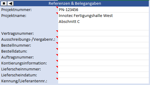 Excel-Eingabebereich für Projekt-, Vertrags-, Vergabe-, Bestell- und Auftragsangaben